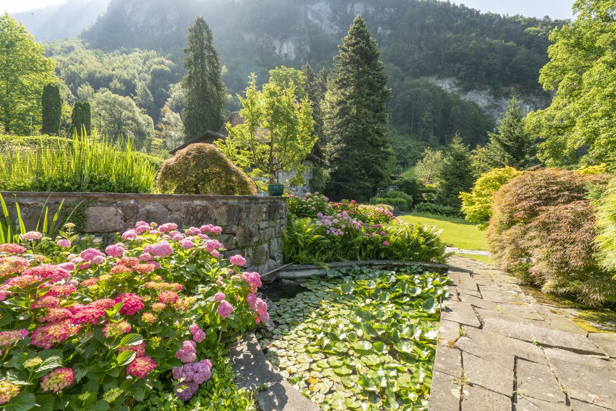 Luxury homes 湖边的箱座