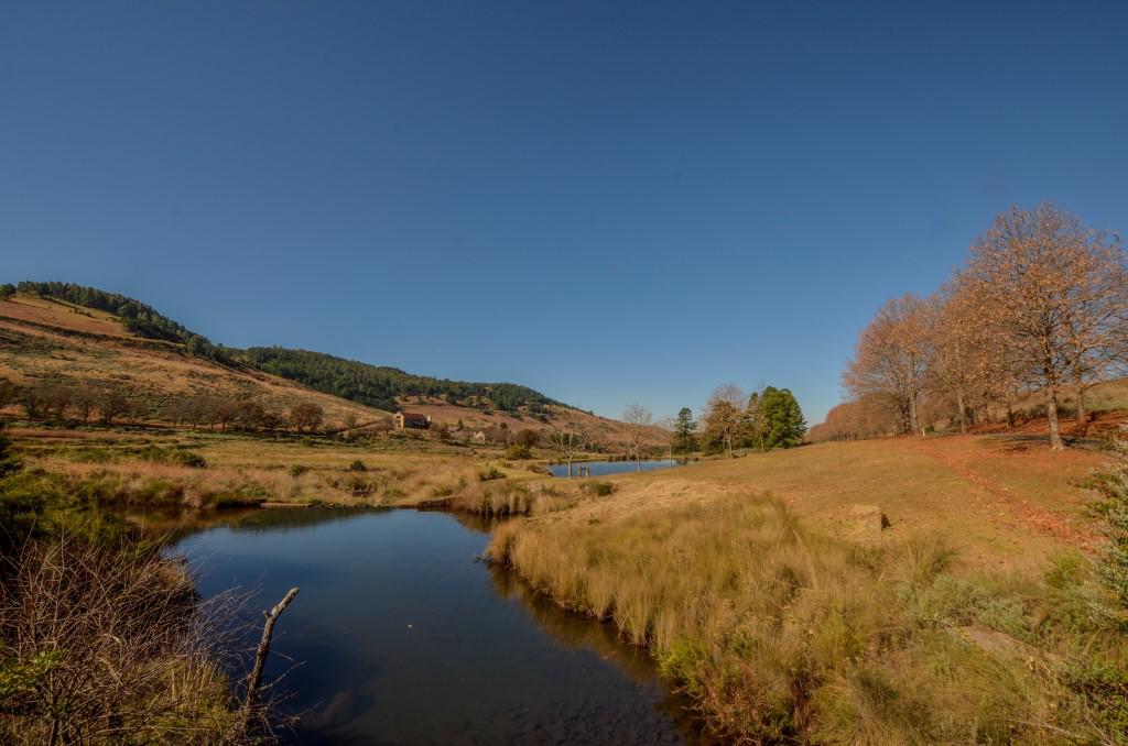 Luxury real estate 庄园 — 沃尔克森乡村庄园酒店
