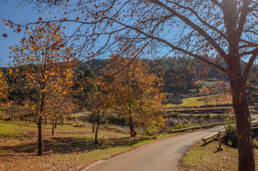 庄园 — 沃尔克森乡村庄园酒店 luxury real estate