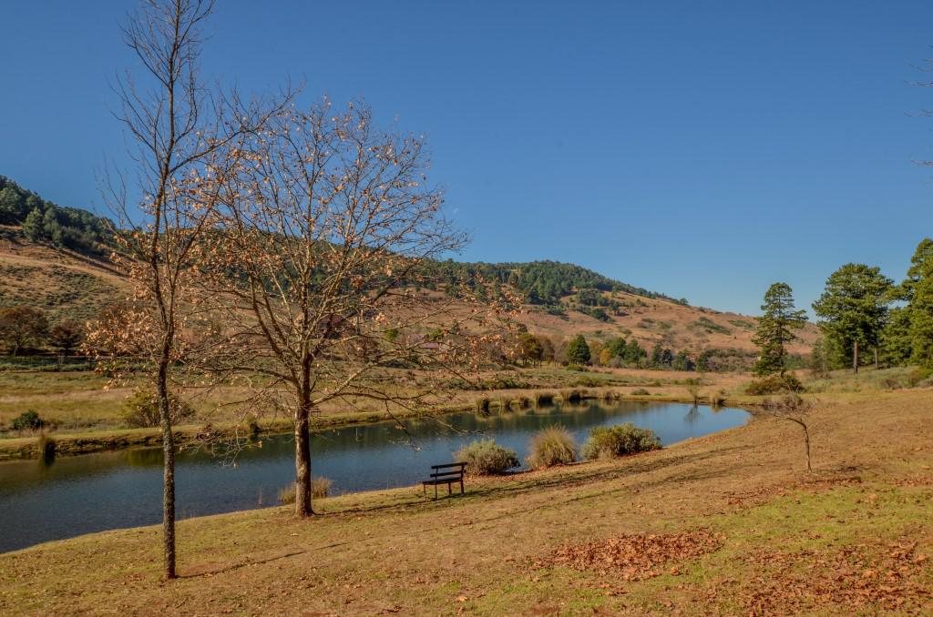 Luxury properties 庄园 — 沃尔克森乡村庄园酒店