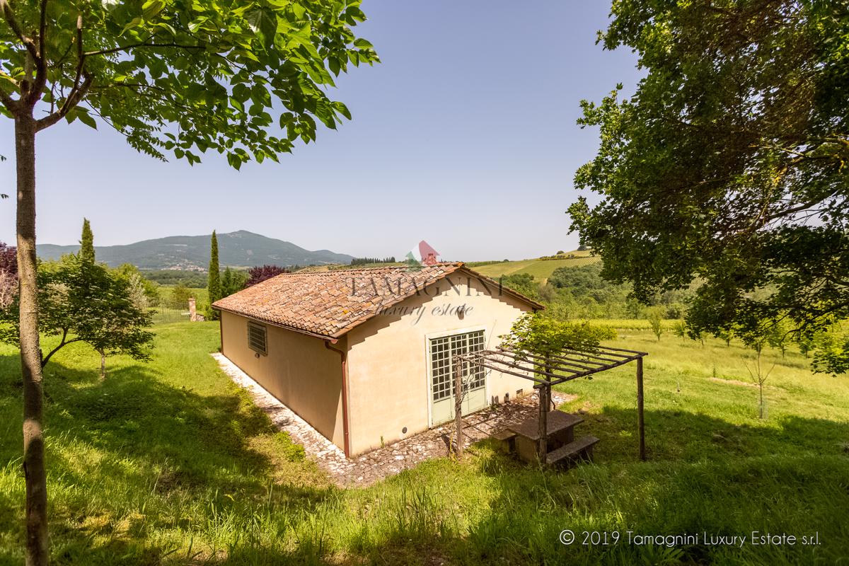 Mansions 坐落在托斯卡纳乡村的庄园