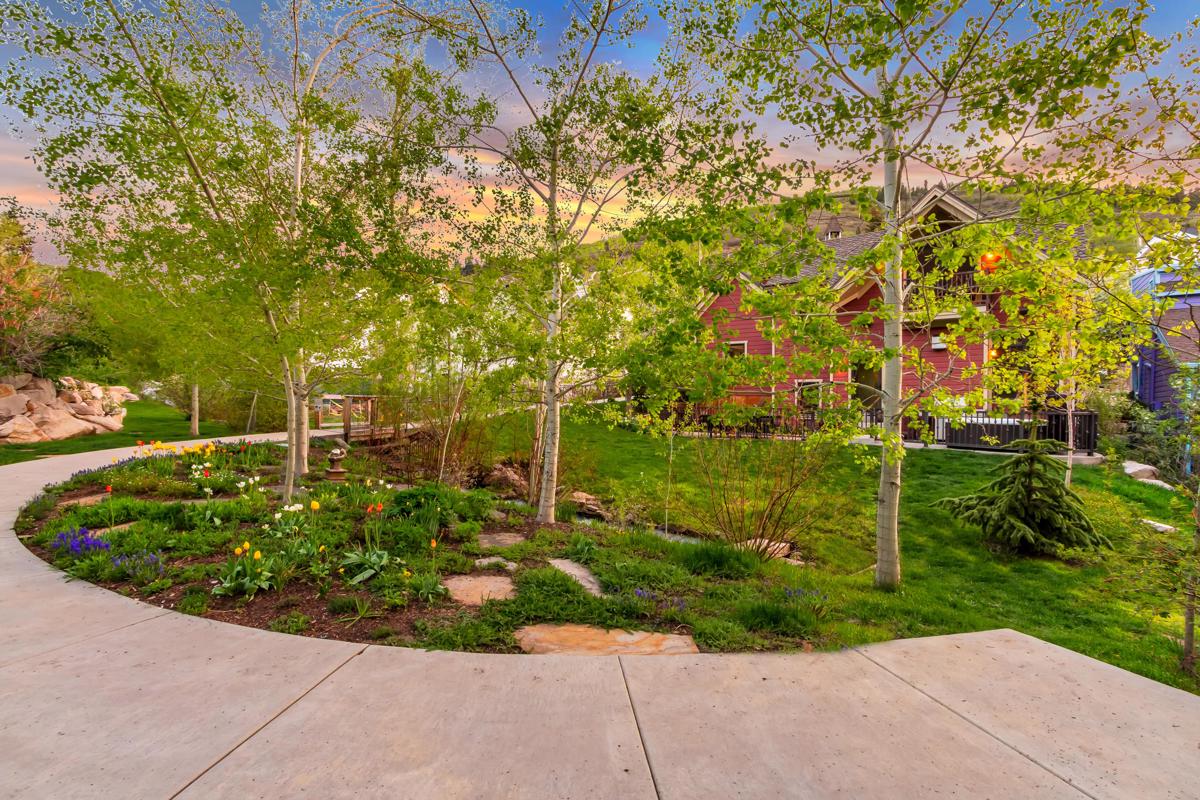 Mansions 旧城后院最好的上主干道