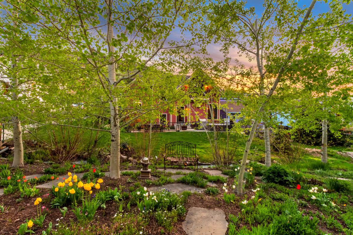 旧城后院最好的上主干道 mansions