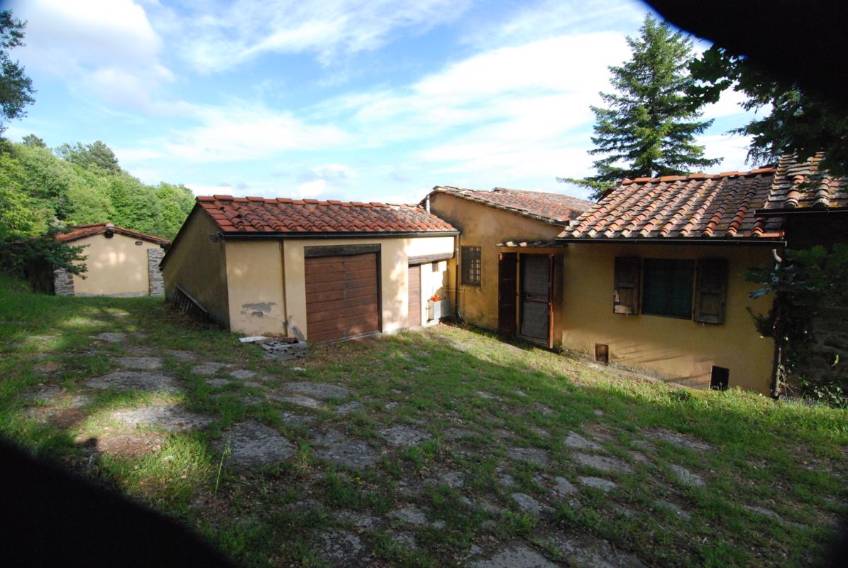 位于菲索莱山上全景的农舍 mansions