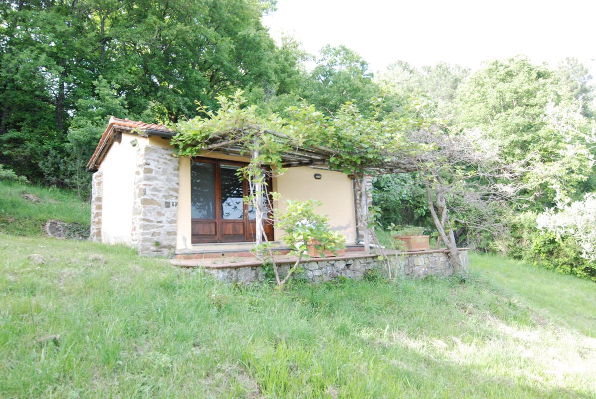 Luxury homes for sale