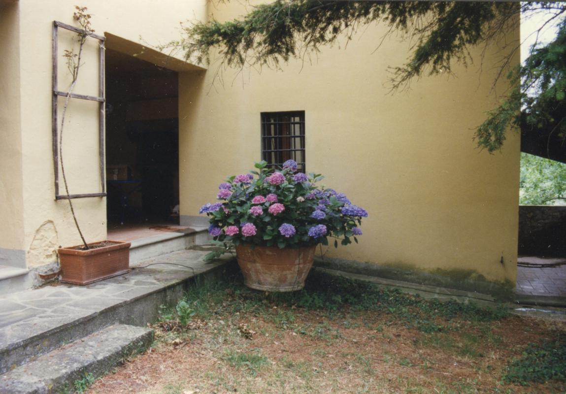 Luxury homes 位于菲索莱山上全景的农舍