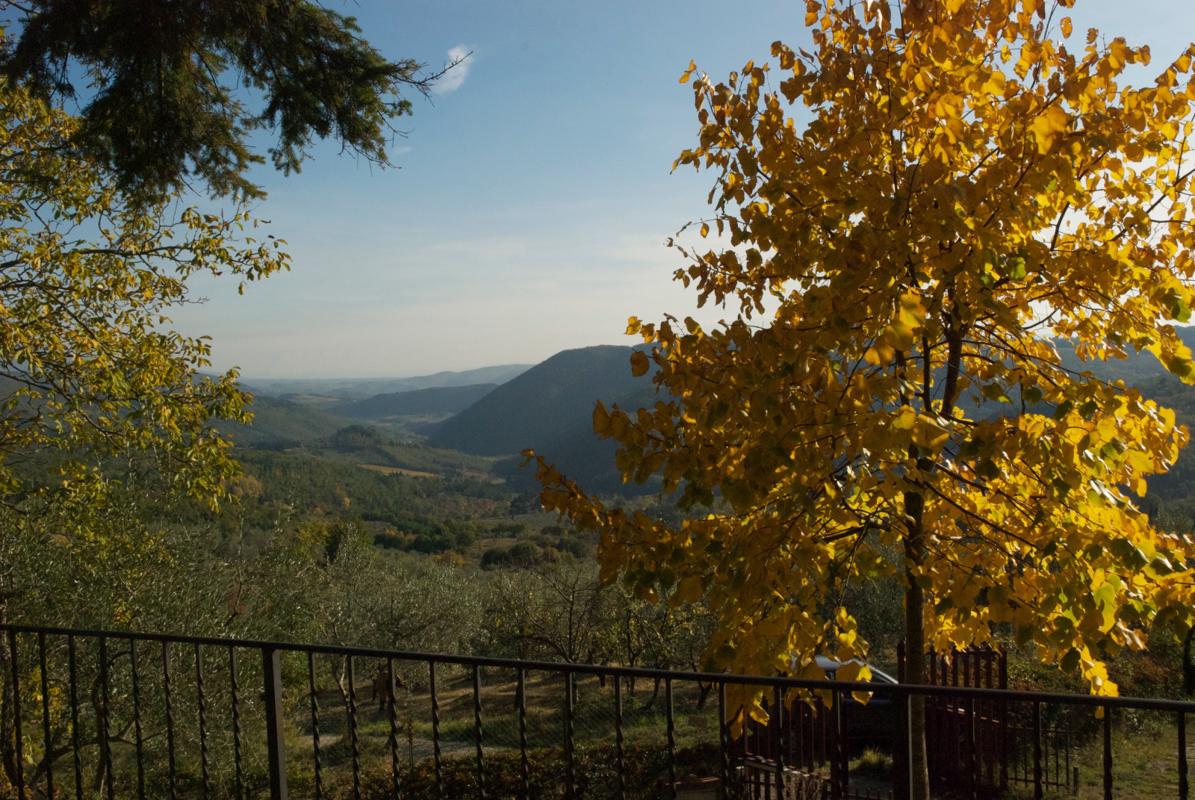 位于菲索莱山上全景的农舍 luxury real estate