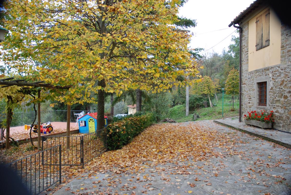 Luxury properties 位于菲索莱山上全景的农舍