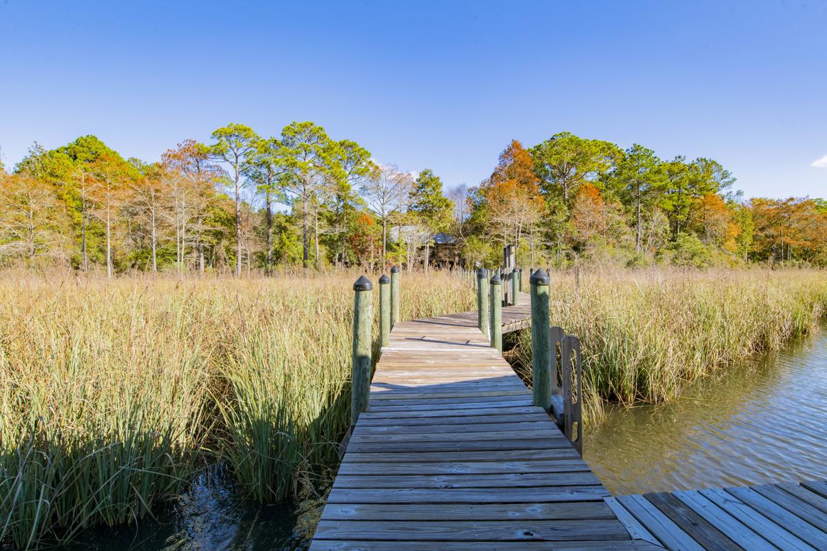 Luxury homes in 门控海滨庄园