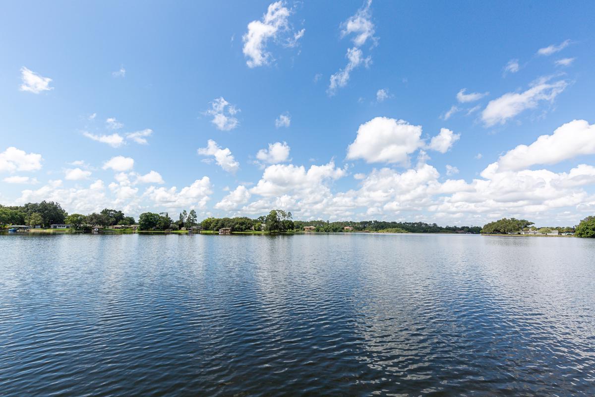 HOME ON THE SHORES OF LAKE IRMA Florida Luxury Homes Mansions For