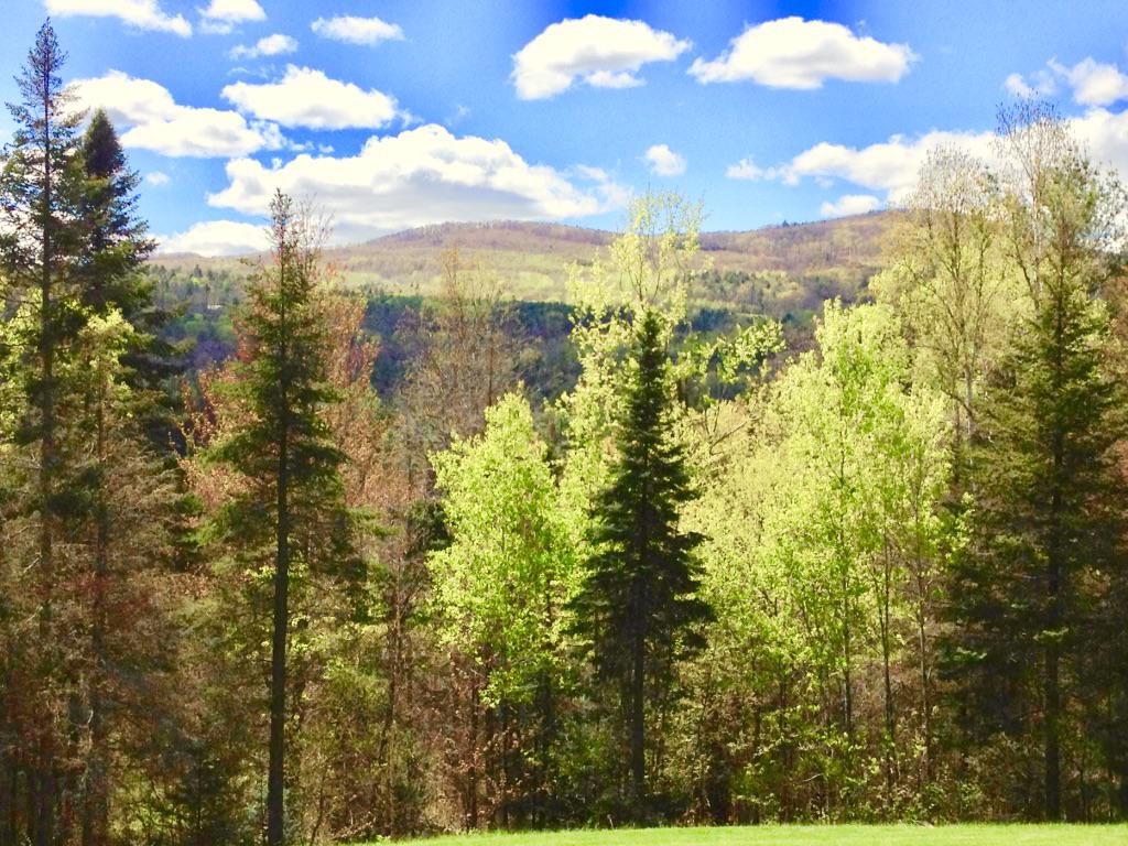 WHITE MOUNTAINS ESTATE New Hampshire Luxury Homes Mansions For Sale