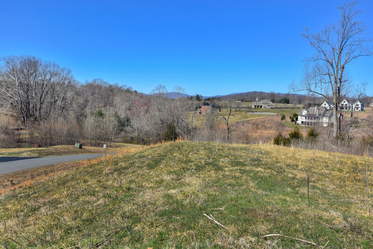 RAGGED MOUNTAIN PROPERTY Virginia Luxury Homes Mansions For Sale Luxury Portfolio