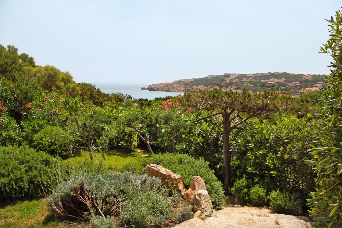 Mansions in コラリナビーチフォーレント