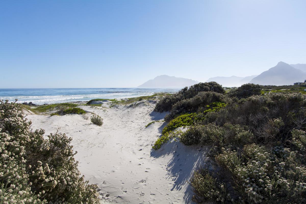 海滩前梦生活 mansions