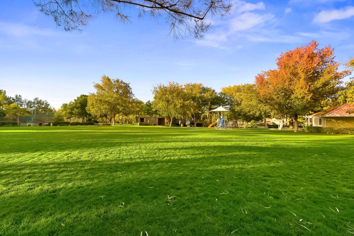 A SECRET GARDEN OASIS IN HENDERSON