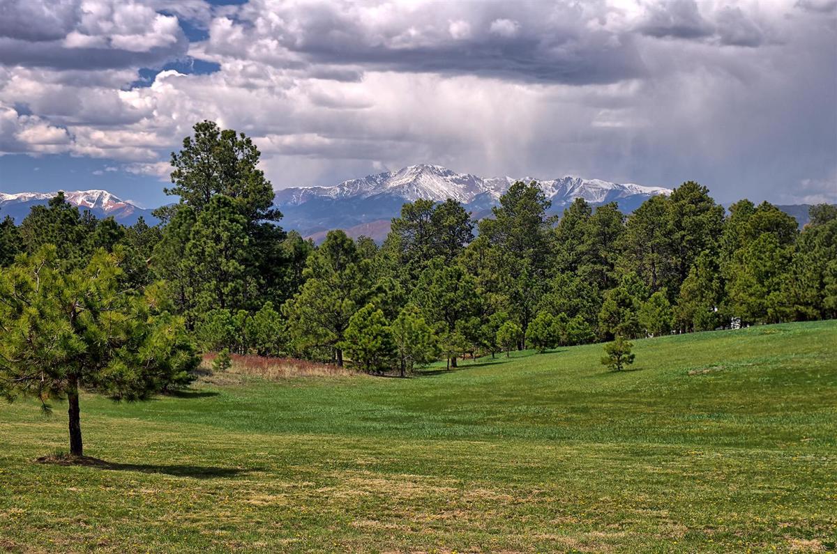 LUXURY HOME IN HIGH FOREST RANCH Colorado Luxury Homes Mansions For