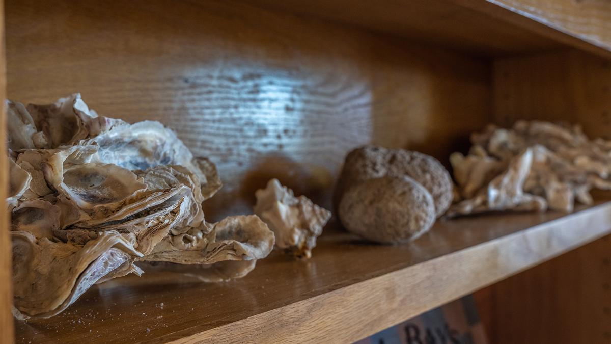 马塔戈尔达岛务所 luxury real estate