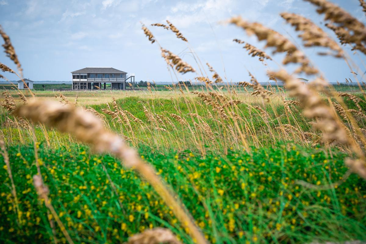 Mansions 马塔戈尔达岛务所