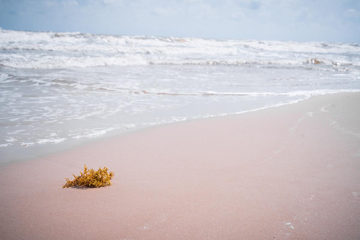 Luxury homes in 马塔戈尔达岛务所
