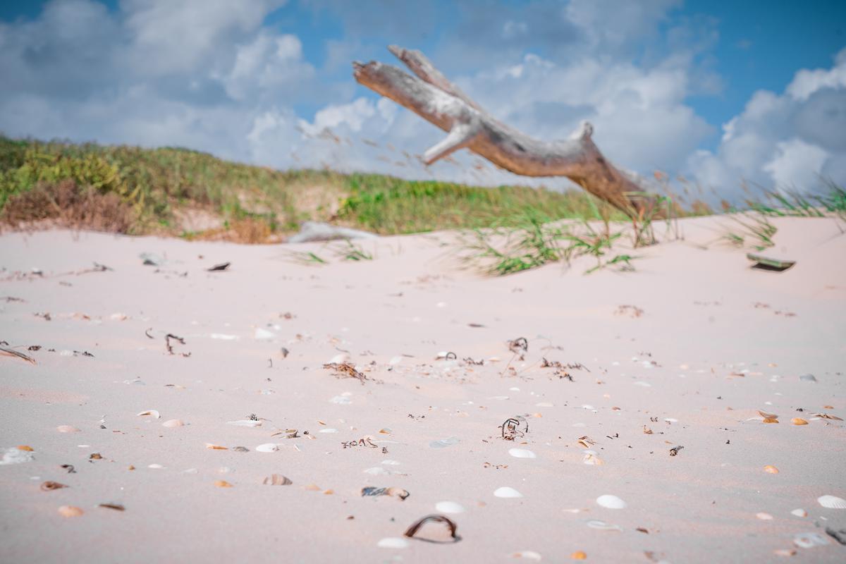 Mansions in 马塔戈尔达岛务所