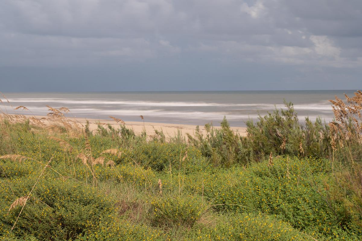 马塔戈尔达岛务所 luxury homes