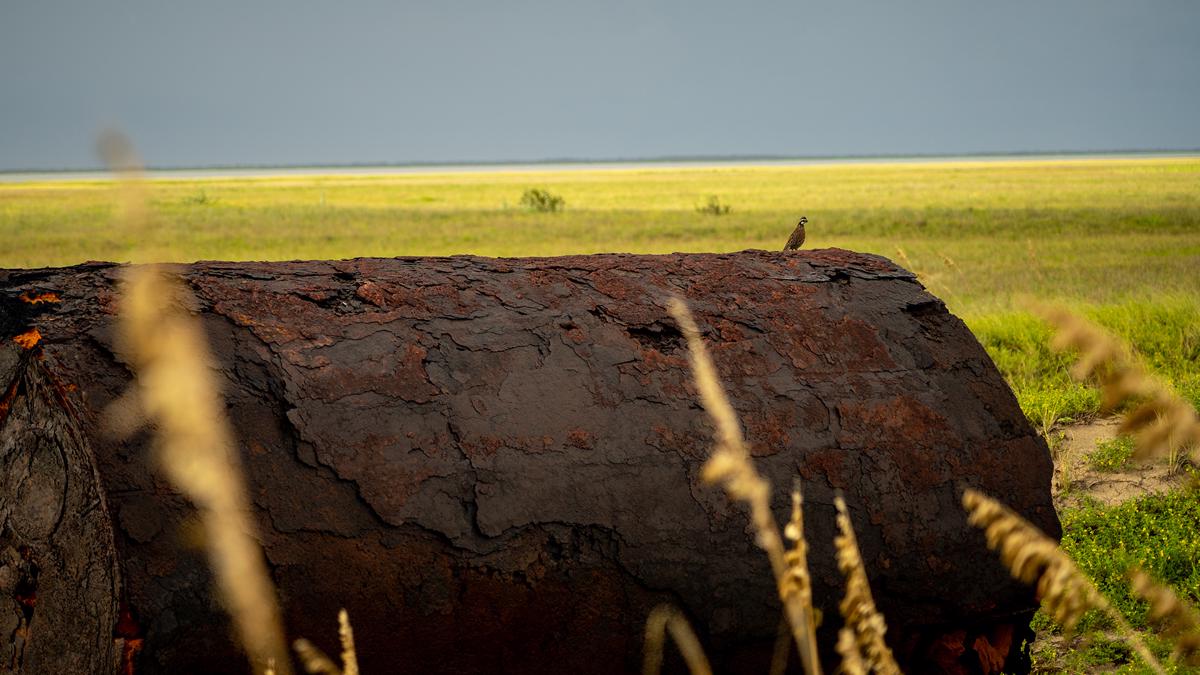 Luxury real estate 马塔戈尔达岛务所