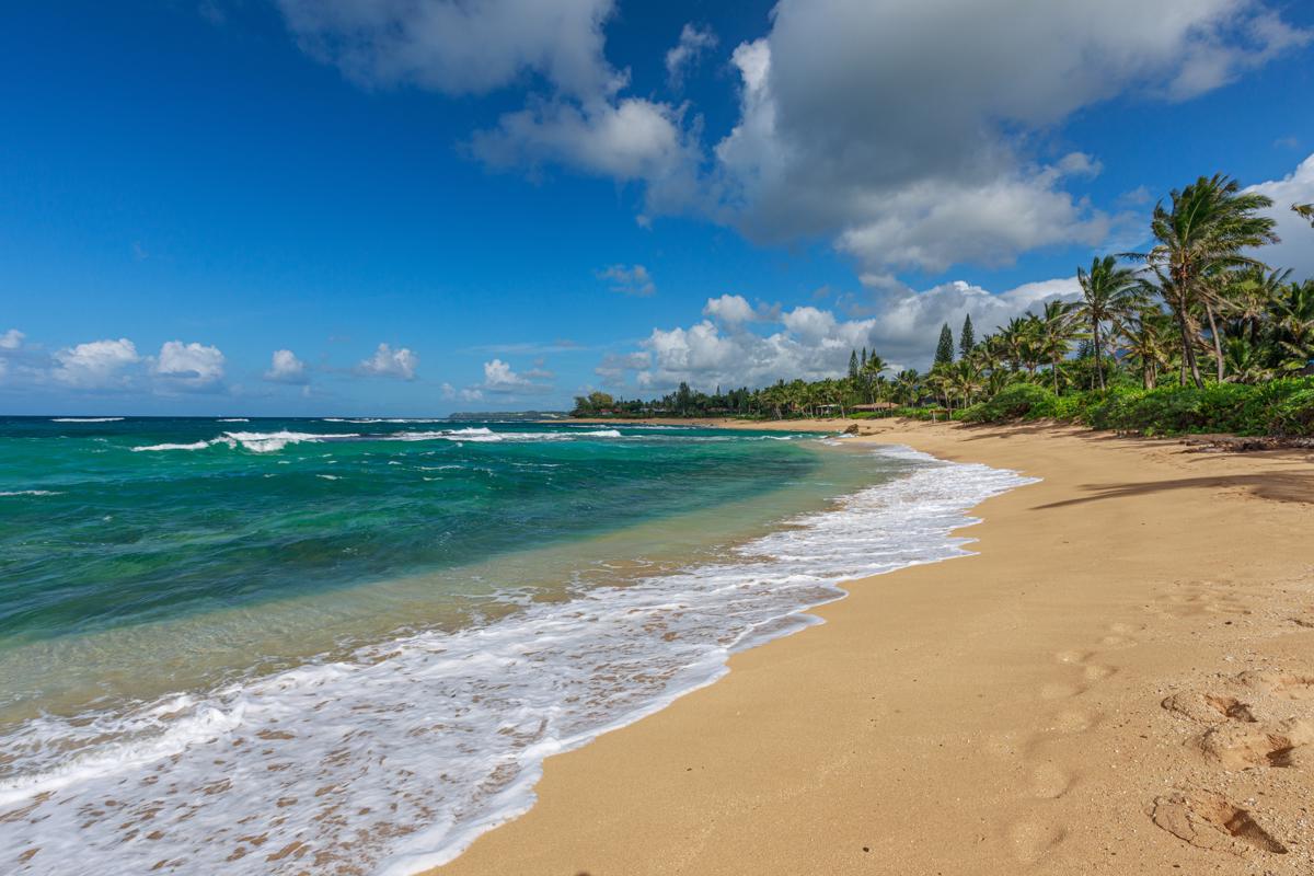 CONTEMPORARY KAUAI ESTATE Hawaii Luxury Homes Mansions For Sale