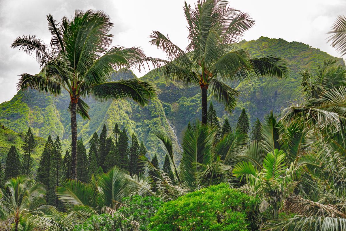 CONTEMPORARY KAUAI ESTATE Hawaii Luxury Homes Mansions For Sale