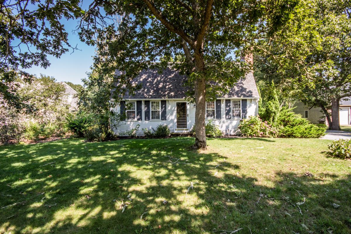 CHARMING GAMBREL IN KATAMA