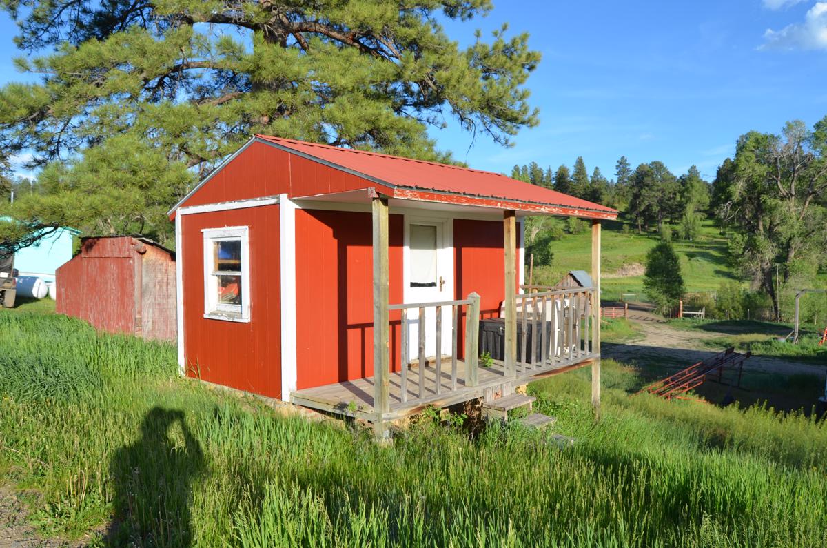 Luxury homes in 哈通牧场