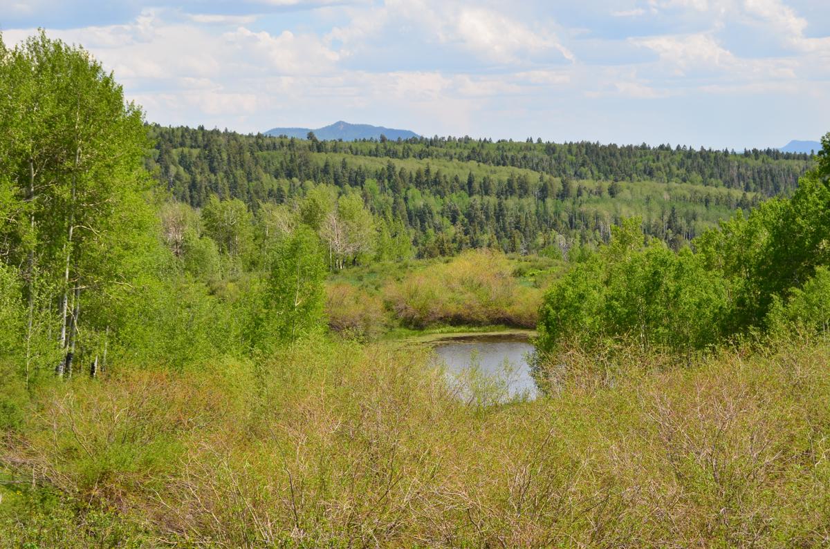 Mansions 哈通牧场