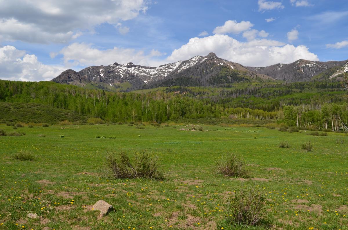 哈通牧场 mansions